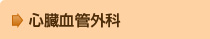SǊO