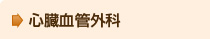 SǊO